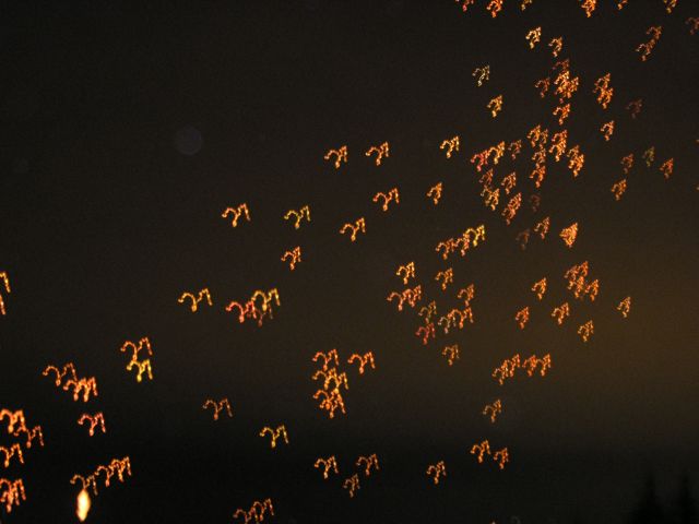 h Tura 4.jpg